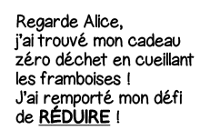 Regarde Alice, j ai trouvé mon cadeau zéro déchet en cueillant les framboises   J ai remporté mon défi de Réduire  