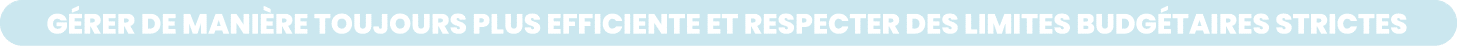 G rer de mani re toujours plus efficiente et respecter des limites budg taires strictes