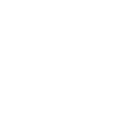 Forces