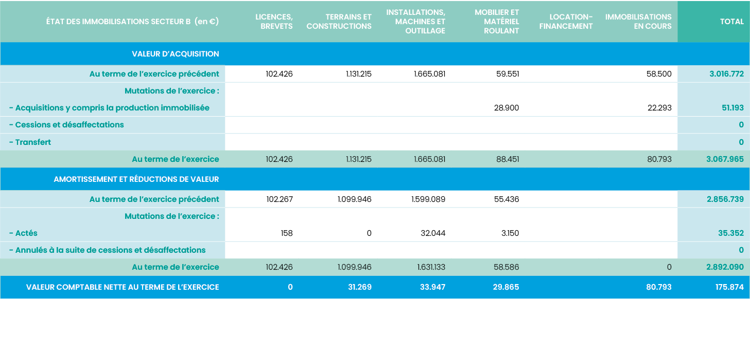 éTAT DES IMMOBILISATIONS secteur B (en  ),Licences, brevets,Terrains et constructions,Installations, machines et outi   
