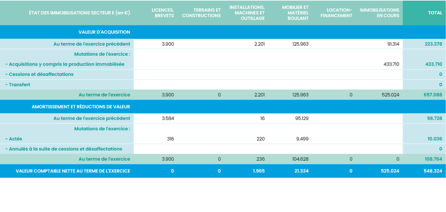 éTAT DES IMMOBILISATIONS secteur E (en  ),Licences, brevets,Terrains et constructions,Installations, machines et outi   