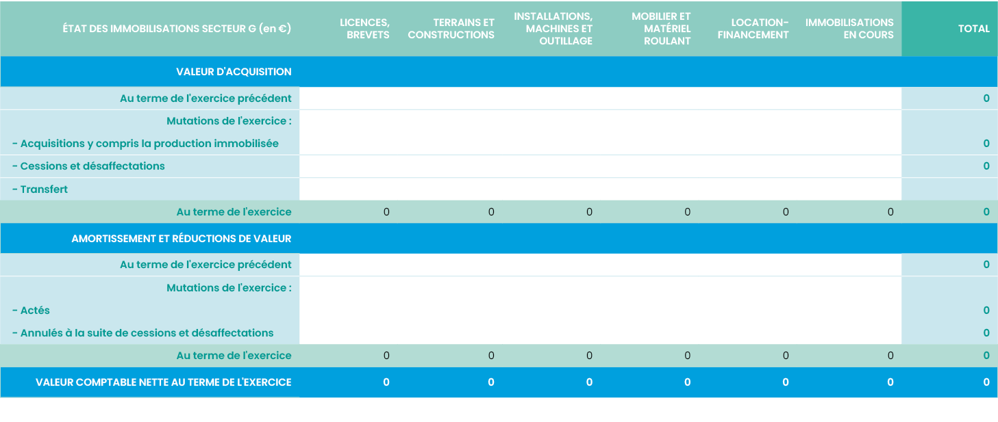 éTAT DES IMMOBILISATIONS secteur G (en  ),Licences, brevets,Terrains et constructions,Installations, machines et outi   