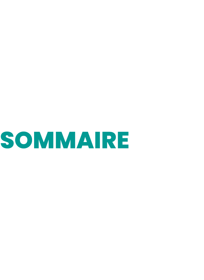 Sommaire